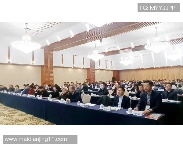 李磊揭秘和平精英成功秘诀与未来发展战略探讨