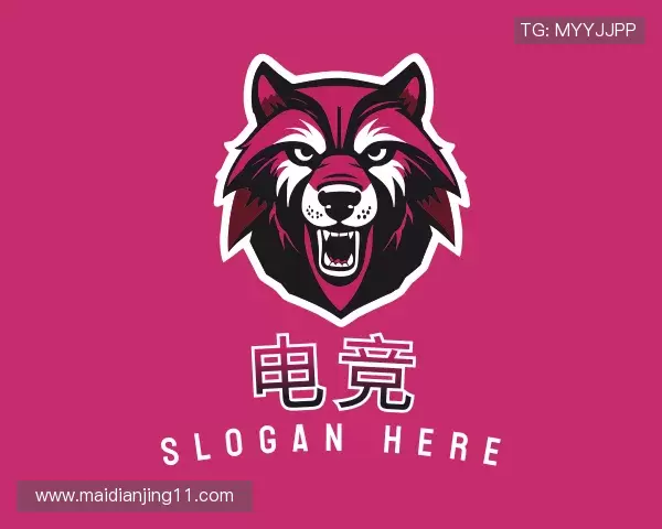 了解买电竞
